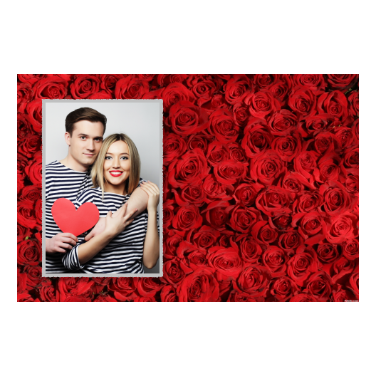 415-1-P-191-Red_Rose_Day-144