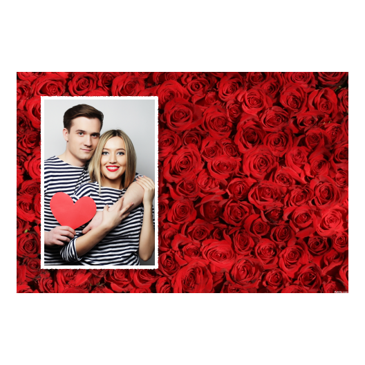 415-1-P-255-Red_Rose_Day-144