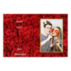 416-1-P-146-Red_Rose_Day-144T
