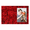 416-1-P-191-Red_Rose_Day-144