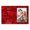 416-1-P-255-Red_Rose_Day-144T