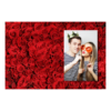 416-1-P-BR-Red_Rose_Day-144