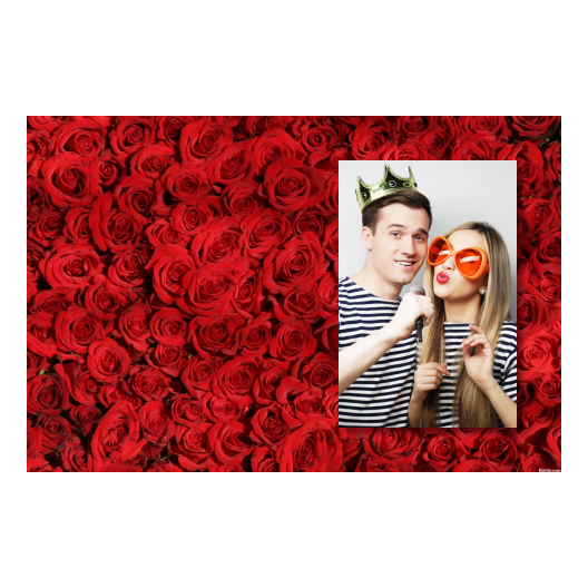 416-1-P-BR-Red_Rose_Day-144