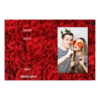 416-1-P-BR-Red_Rose_Day-144T