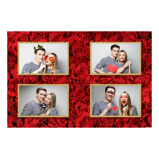 417-4-HHHH-146-Red_Rose_Day-144