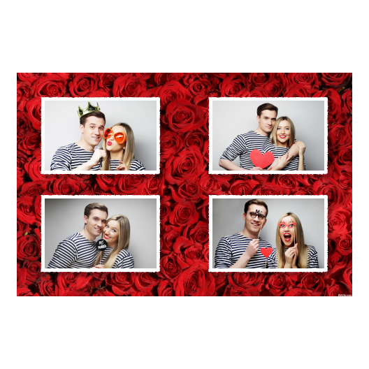 417-4-HHHH-255-Red_Rose_Day-144