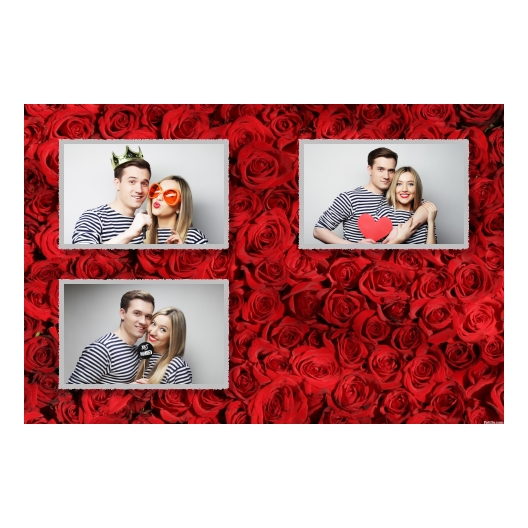 418-3-HHH-191-Red_Rose_Day-144