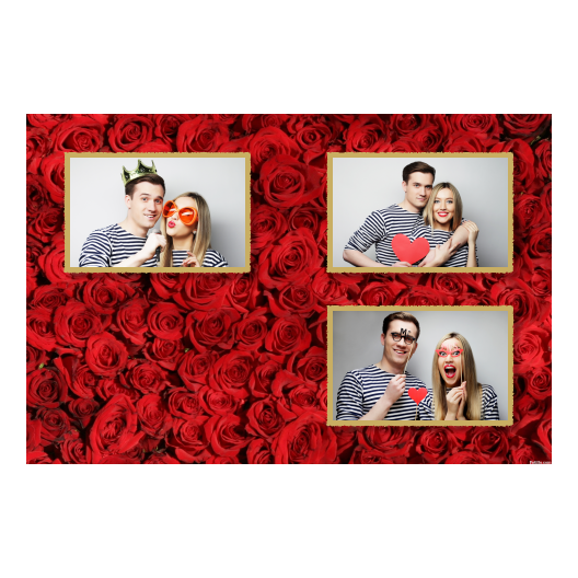 419-3-HHH-146-Red_Rose_Day-144