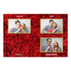 419-3-HHH-146-Red_Rose_Day-144T