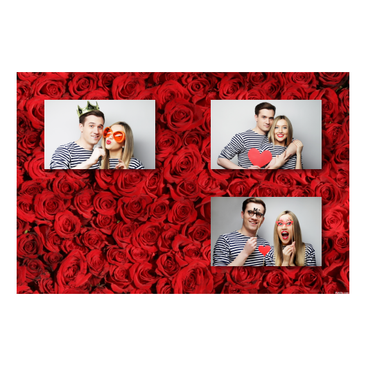419-3-HHH-BR-Red_Rose_Day-144