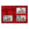 421-3-HHH-191-Red_Rose_Day-144