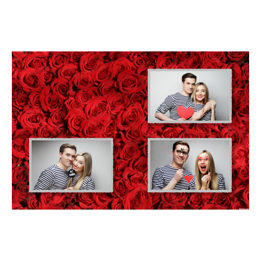 421-3-HHH-191-Red_Rose_Day-144