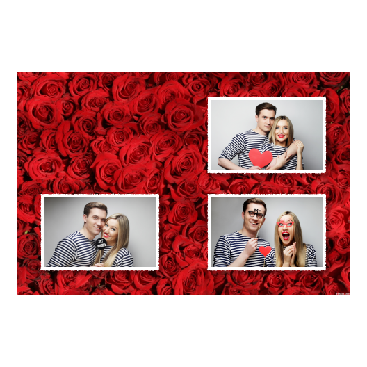 421-3-HHH-255-Red_Rose_Day-144