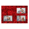 421-3-HHH-BR-Red_Rose_Day-144