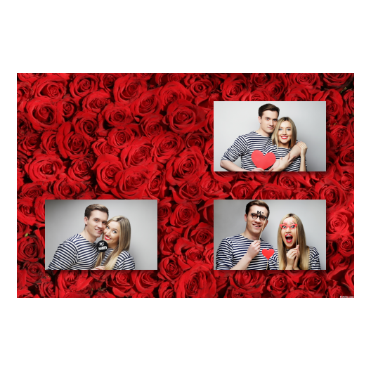 421-3-HHH-BR-Red_Rose_Day-144