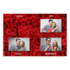 421-3-HHH-BR-Red_Rose_Day-144T