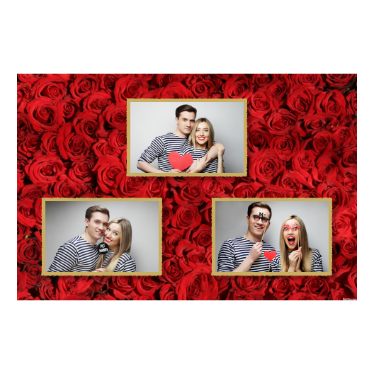 422-3-HHH-146-Red_Rose_Day-144