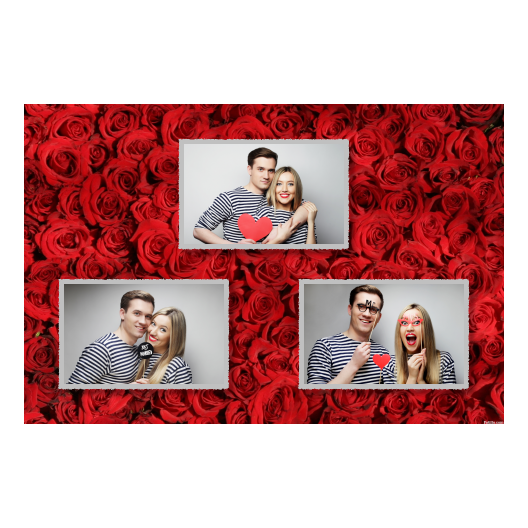 422-3-HHH-191-Red_Rose_Day-144