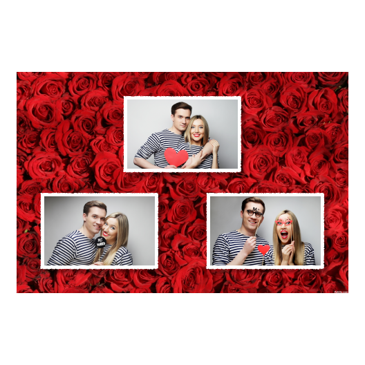 422-3-HHH-255-Red_Rose_Day-144