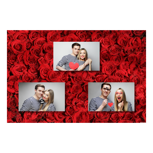 422-3-HHH-BR-Red_Rose_Day-144