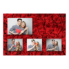 424-4-HKKK-BR-Red_Rose_Day-144