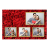 425-4-HKKK-146-Red_Rose_Day-144