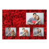 425-4-HKKK-BR-Red_Rose_Day-144