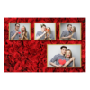 426-4-KKKH-146-Red_Rose_Day-144