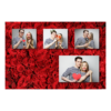 426-4-KKKH-BR-Red_Rose_Day-144