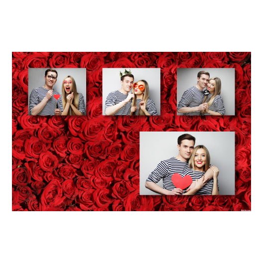 426-4-KKKH-BR-Red_Rose_Day-144