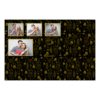 427-4-KKKH-146-Snake_Day-015T