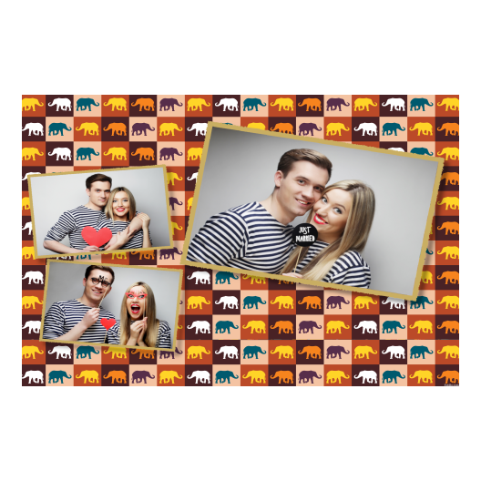 606-3-HHH-146-Elephant_Day-050