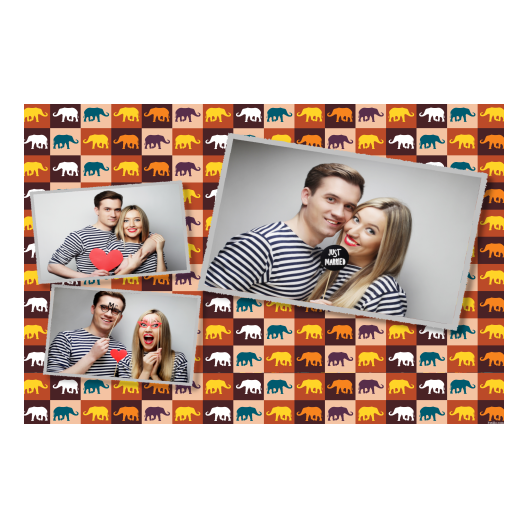 606-3-HHH-191-Elephant_Day-050