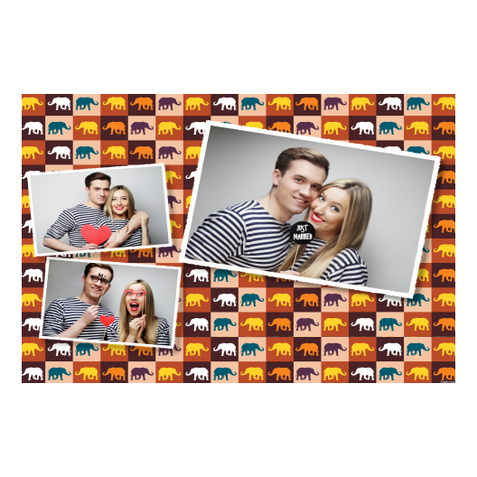 606-3-HHH-255-Elephant_Day-050