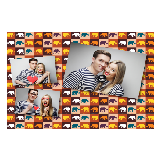 606-3-HHH-BR-Elephant_Day-050