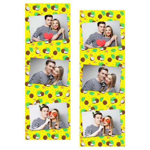 101-3-HHH-BR-Coconut_Day-195