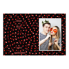 416-1-P-255-Dot_Day-015T