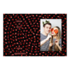416-1-P-BR-Dot_Day-015T