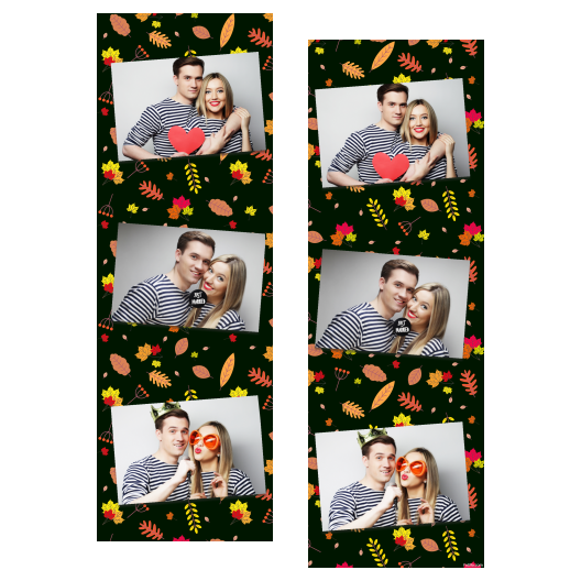 101-3-HHH-BR-Falling_Leaf_Day-015