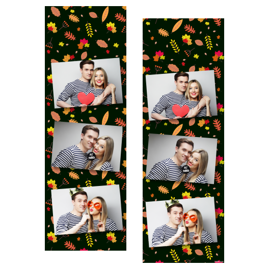 103-3-HHH-BR-Falling_Leaf_Day-015