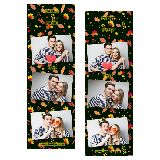 103-3-HHH-BR-Falling_Leaf_Day-015T
