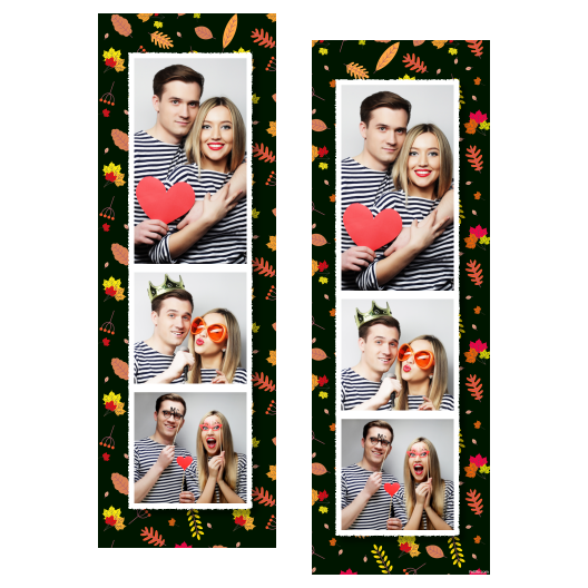 107-3-PKK-255-Falling_Leaf_Day-015