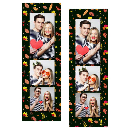 107-3-PKK-BR-Falling_Leaf_Day-015