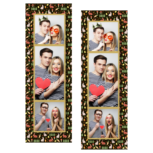 108-3-KPK-146-World_Rabbit_Day-015