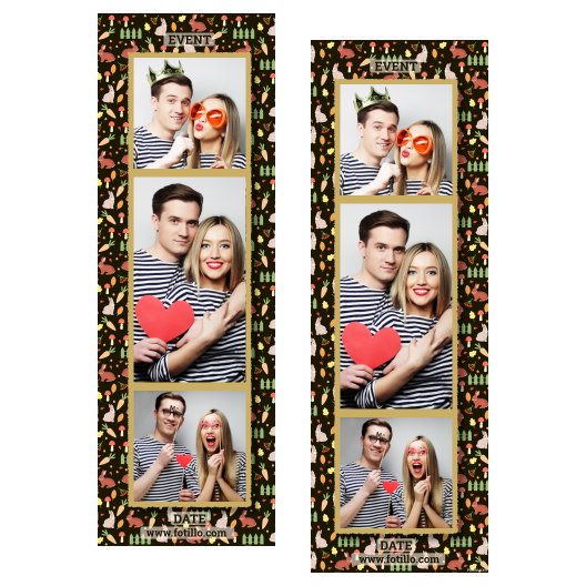 108-3-KPK-146-World_Rabbit_Day-015T