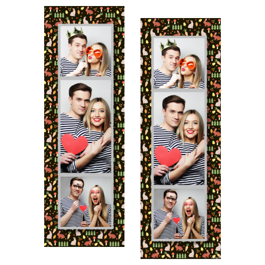 108-3-KPK-191-World_Rabbit_Day-015