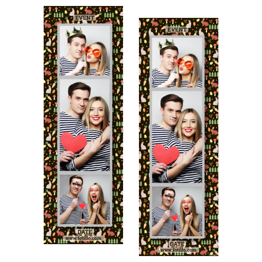 108-3-KPK-191-World_Rabbit_Day-015T