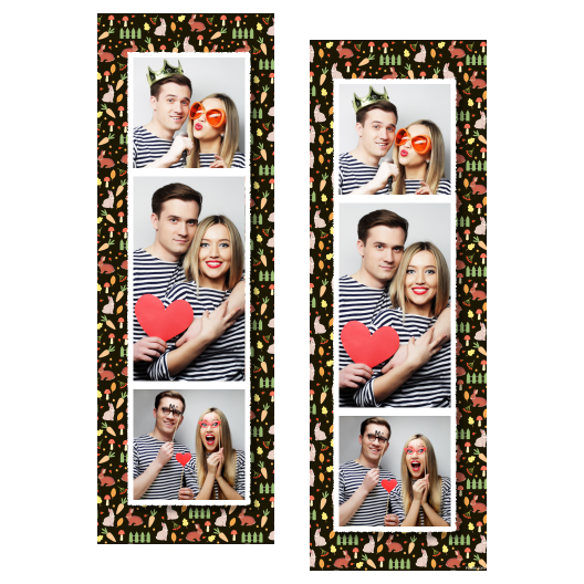 108-3-KPK-255-World_Rabbit_Day-015