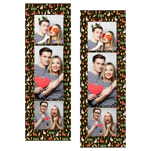 108-3-KPK-BR-World_Rabbit_Day-015