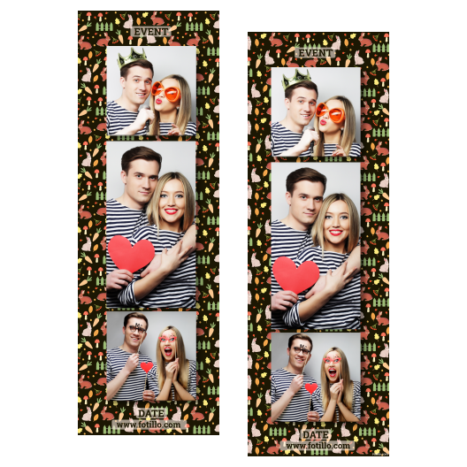 108-3-KPK-BR-World_Rabbit_Day-015T